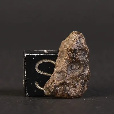 Meteorite Amgala 001 Of 1172 G Martian Shergottite Mars #D37.2-7 • $147.45