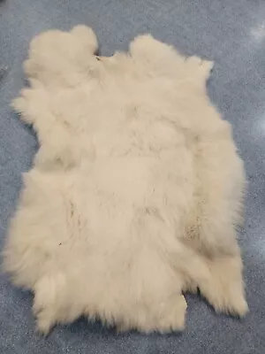 JR48 White Rabbit Pelt Hide Skin Fur • $11.98