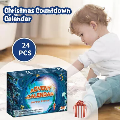 Christmas Advent Calendar Ocean Countdown Calendar With 24Pcs Mini Marine Stuhs • $15.49