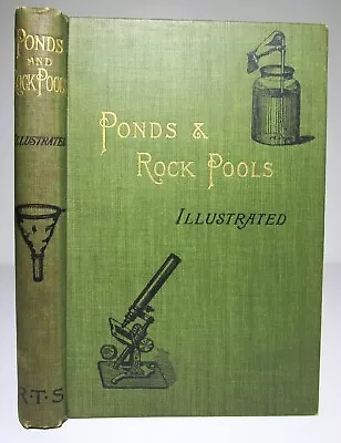 1900 ROCK POOLS POND Life Marine Freshwater AQUARIUMS Natural History Microscope • £20