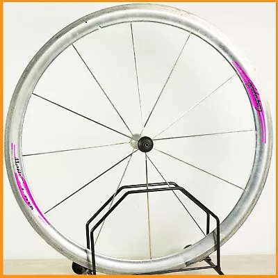 Campagnolo Shamal 12-hpw Front Wheel Road Bike 700c 12 Hpw Spokes Vintage 90s • $224.99