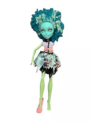 Monster High Honey Swamp Frights Camera Action Hauntlywood Doll 2013 • $12.99