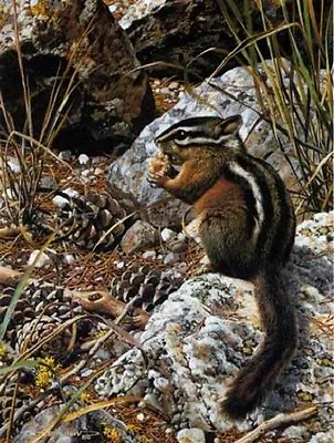 Carl Brenders HARVEST TIME - CHIPMUNK Art Print ARTIST PROOF A/P#7/56  • $295