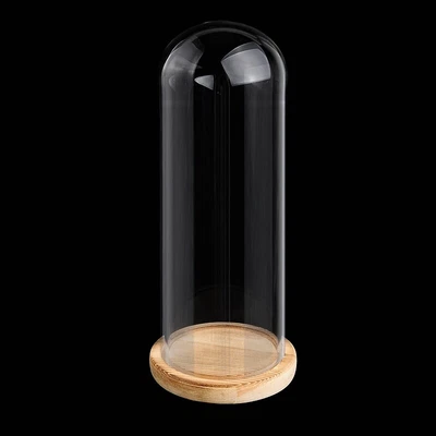 £11.99 • Buy Glass Display Cloche Bell Jar Dome With Wooden Base Decorative Desk Vintage UK