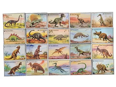 Vintage 1987 Dino Card Company Dinosaurs Set 20 Cards W/ Plastic Case Beautiful • $14.99