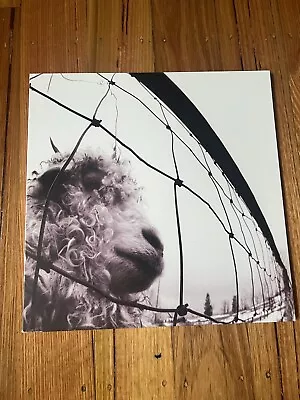 Vs. [Remastered] By Pearl Jam (Record 2011) • $60