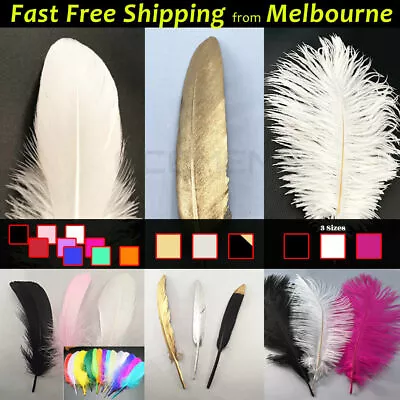 BULK Goose Ostrich Feathers Costume Wedding Party Decorations White Gold Black.. • $11.99