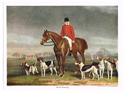 Vintage Art Print Fox Hunting English Horse C1930 Dogs Foxhound Charles Barnett • $22.95