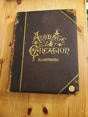 Antique Animate Creation Illustrated 1885 Vol. 2 Birds By Rev. J. G. Wood  • $65