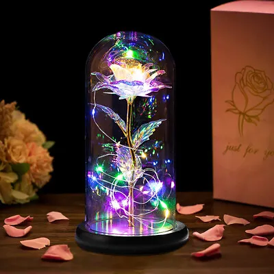 Enchanted Forever Rose Flower In Glass Dome LED Light Mothers Day Romantic Gift! • $21.65