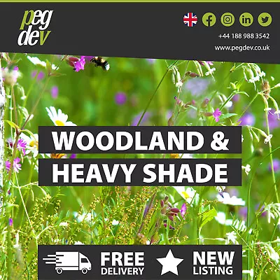 Woodland & Heavy Shade - Wild Flower & Grass Mix Seed - Meadow Bees Butterfly • £5.76