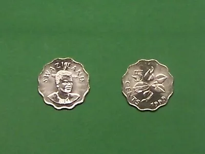 $2 • Buy Swaziland  1999  5 Cents  Arum Lily   Km48  Uncirculated Coin  