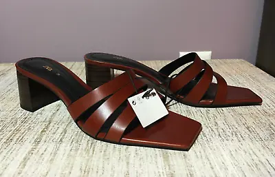 Nwt Zara Block Heel Leather Mules Brown Size 8 | 1310/110 • $37