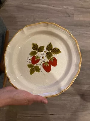 Mikasa Strawberry Festival EB 801 Dinner Plate 10 3/4'' • $10