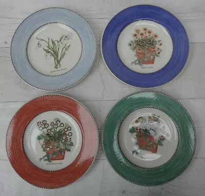 £24.99 • Buy Wedgwood Sarah's Garden 21 Cm Salad Plates X 4