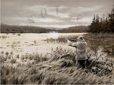 Antique Mallard Duck Hunting A B Frost Repro 8x10 Photographic Print • $11.99