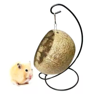 Parrot Rat Hammock Bed Small Pet Supplies Guinea Pig Toys Hanging Basket • $9.34