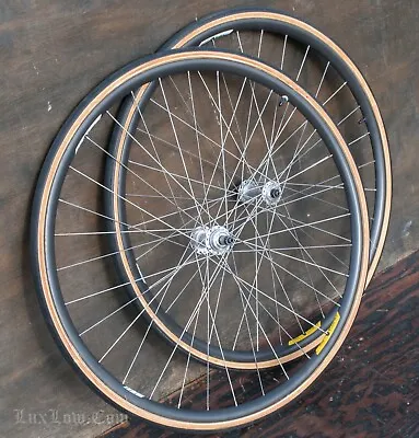 Vintage Campagnolo Omega 700c Road Bike WHEELS Clement Tubulars Colnago Bicycle • $298