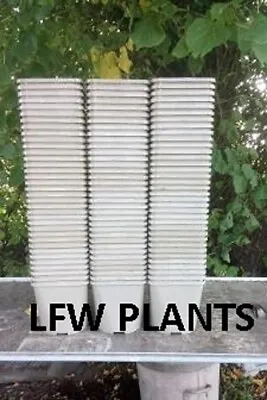 £19.50 • Buy 100 X 2 Litre Grey Heavy Duty Square Top Plastic Plant Pots - Used