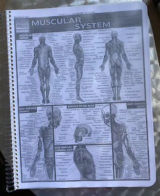 Strength / Weight Training Charts- Arthur Jones MedX Nautilus Machines • $15