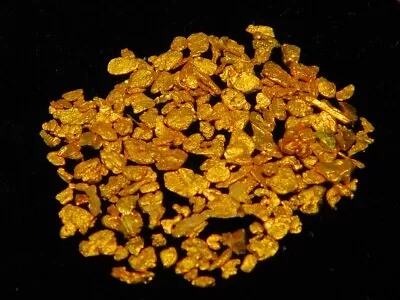 Gold Nugget Pannings ( 1.62 Grams ). Very Clean. • $151.50