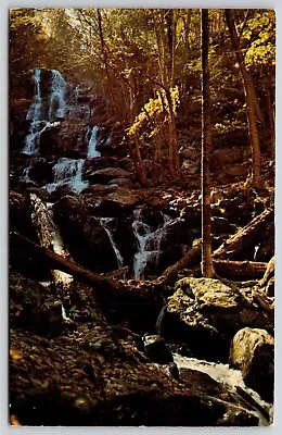 Virginia Va Shenandoah National Park Dark Hollow Falls Rose River Unp Postcard • $12