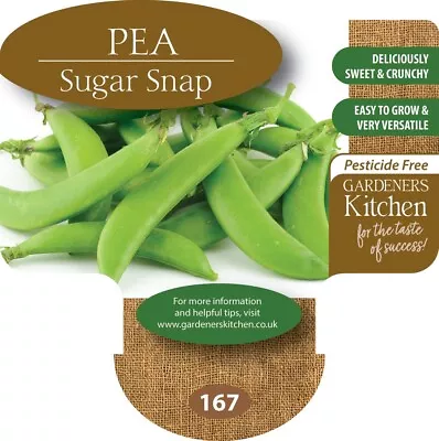 Pea Plants 'Sugar Snap' - 6 X MEDIUM Plug Vegetable Plants. • £9.99