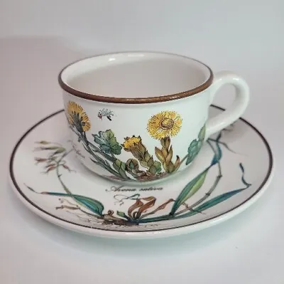Villeroy & Boch Botanica Cup & Saucer Porcelain Avena Sativa Marriage? READ • $16.95