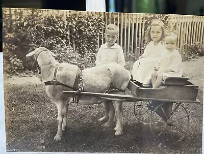 Vintage1920s 3 Kids And Goat Cart In Yard  3 X 4.5 In • $10