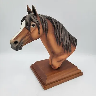 Vintage Kaiser W. Germany Horse Head Bust 1960s Mounted Wood TINY CHIP ON EAR • $65