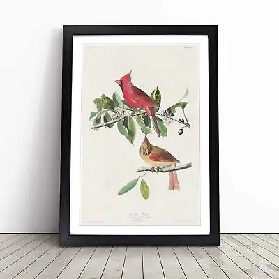 $30.40 • Buy Cardinal Grosbeak Birds Flowers John James Audubon Framed Picture Print Wall Art