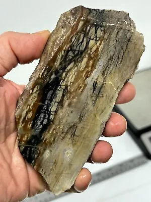 Picasso Marble (Jasper) Slab Cabbing Lapidary Utah Combo Ship Avail • $17