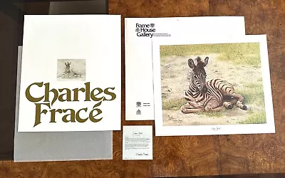 Charles Frace 1975 L.e. Signed  Zebra Foal  22  X 19  Art Print Ships Flat • $75