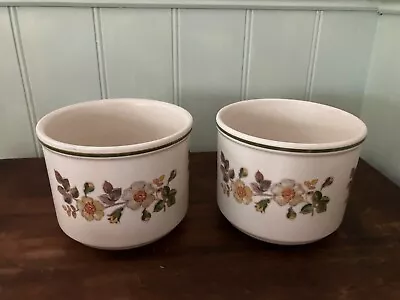 Marks And Spencer M&S Autumn Leaves Ceramic Plant Pots X 2 • £12