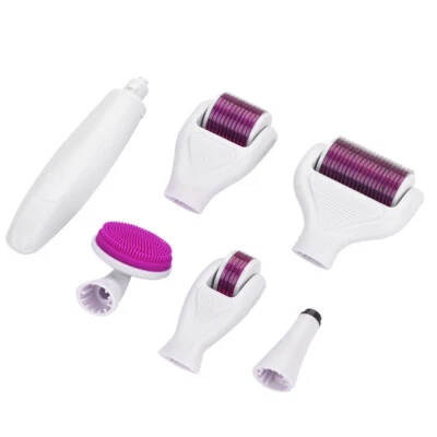$23.61 • Buy 6 IN  Derma Roller 2/300/720/200 Micro Needles Facial Skin Beauty Therapy KAK