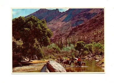 USA - Sabino Canyon Tucson Arizona - Postcard Franked 1980 • $6.36