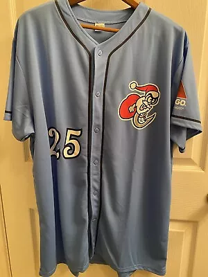 Corpus Christi Hooks Minor League Baseball Blue Christmas Jersey #25 Size Large • $15.99