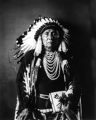 £4.20 • Buy Native American Indian Chief Joseph Portrait 10x8 Photo Art Print Picture