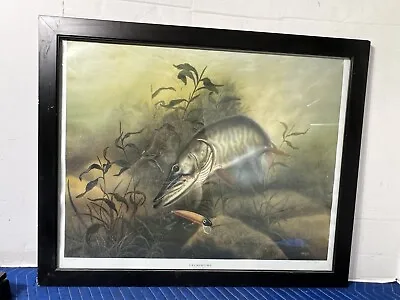 Crunchtime Frame By Steve Miljat Muskie Wall Art Print Fishing Home Decor Signed • $187