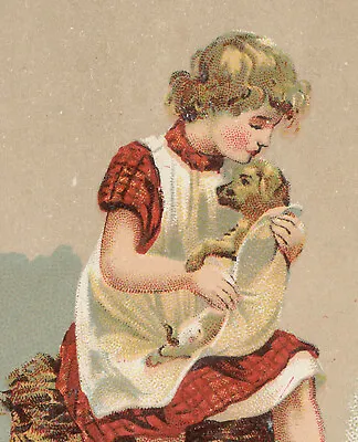 $15.75 • Buy 1887 J & P Coats Trade Card & Calendar, Cute Little Girl Hugging Her Dog  V929