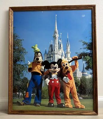 Vintage Disney World Magic Kingdom Framed Poster 21x17 Pluto Mickey Goofy • $19.95