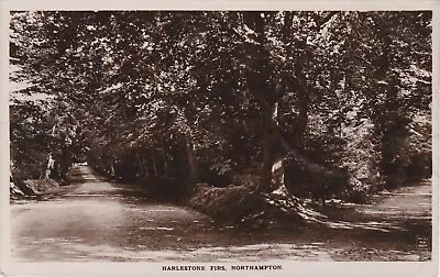 GB Ppc 1930s? Harlestone Firs Northampton - Mayfair Real Photo Series • £1.50