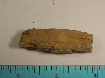 Fossil Petrified Wood From Mazon Creek Form. 300 MYA - 2  X 1  Free Shipping • $9.95