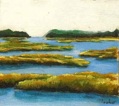 Plum Island Estuary Massachusetts Great Salt Marsh Oil Painting Plein Air Signed • $165