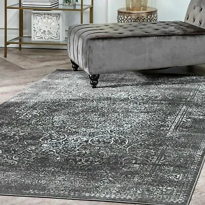 NuLOOM Transitional Vintage Delores Area Rug In Dark Gray • $119.13