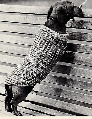 £1.99 • Buy Dog Coat- Dachshund Coat  Knitting Pattern , Very Easy One To Knit