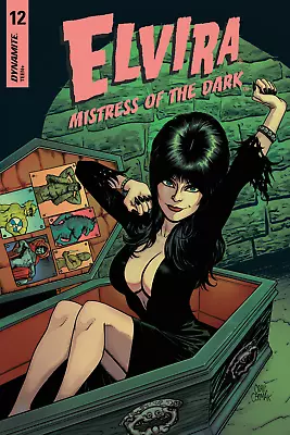 Elvira Mistress Of The Dark Comic Book No 12 Wake Up Poster 24x36 Inches • $20