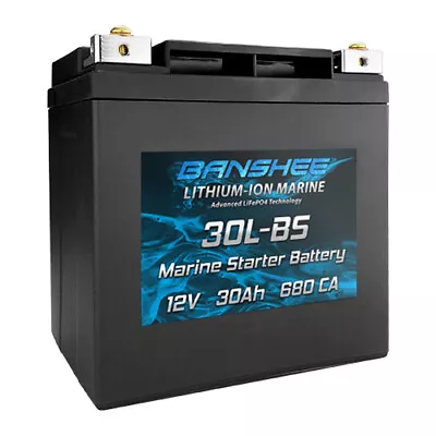 Banshee Starter Battery For All 25HP Or Less Evinrude Outboard Motors • $178.84