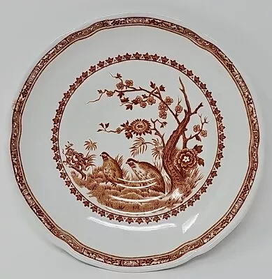 Furnivals 1913 Brown Quail Pattern Bread & Butter Plate 5 3/4  Diameter • $7.85