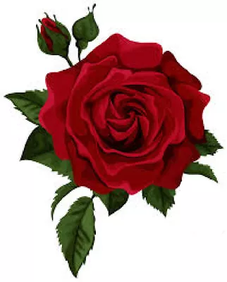 £2.99 • Buy Painted Rose Flower Decals Stickers Graphics Nursery Wall Window Decoration Art